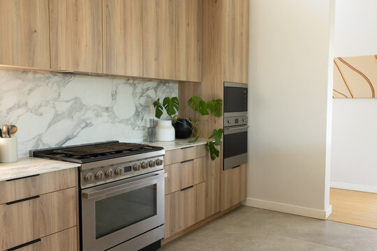 Stainless steel gas range sitting left in modern kitchen, with marble backsplash and potted plant