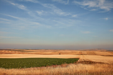 Golden and green farm fields stretch beneath a blue sky