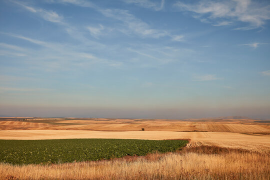 Golden and green farm fields stretch beneath a blue sky