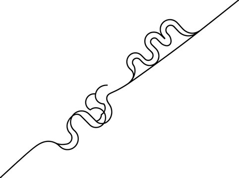 Minimalist squiggly line illustration with wavy segments
