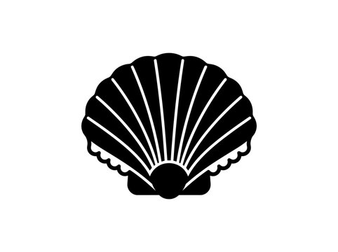 Stylized black and white seashell icon
