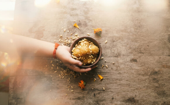 Woman holding bowl of traditional Indian sweet laddoo with puffed rice for festive celebration on wooden table