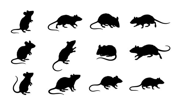 Rat and mouse silhouette vector set featuring diverse rodent poses and profiles