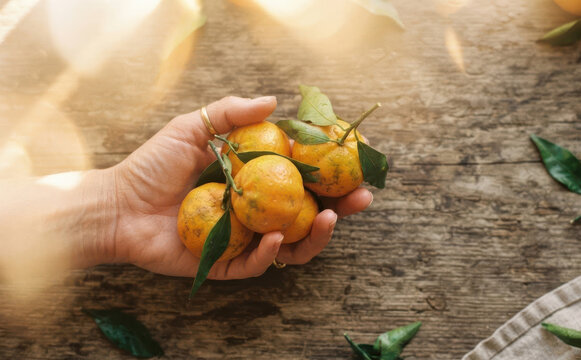 Woman holding fresh ripe mandarins with green leaves in hand on rustic wooden background