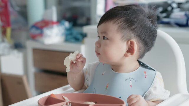 Asian Baby Using Finger to Feed Herself a Food with Baby Led Weaning Concept.Cute Asian baby boy eating finger food in high chair.