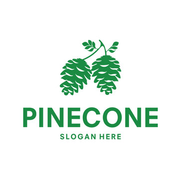 Pine cone Logo Design template Illustration Vector