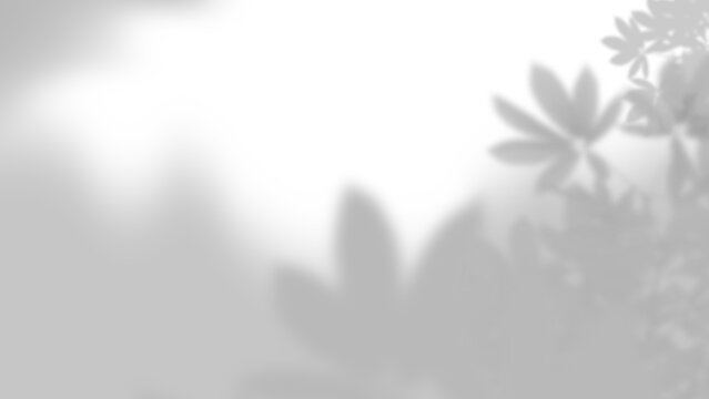 Abstract leaves shadow and sunlight dappled shadow overlay effect with realistic abstract natural tree leaves shadow isolated on transparent png cut out background