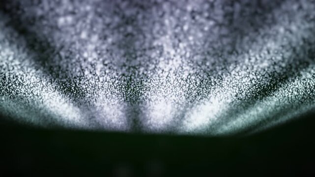 A deep, dark void gradually revealing an intricate, shimmering pattern that pulsates with life-like movement