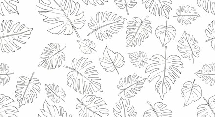 Fototapeta premium Tropical Monstera Leaf Pattern Background
