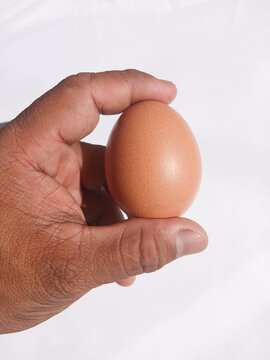 egg in hand