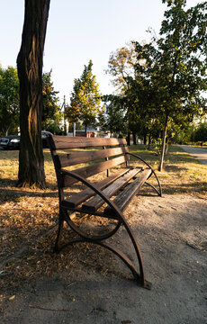 Wide view of a wooden park bench along a dirt path under tree shade in a sunny park at sunset for landscape concepts.