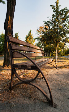 Low-angle shot of a wooden park bench with metal frame in late afternoon sunlight for urban lifestyle designs.