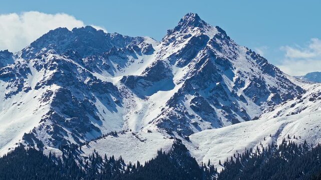 Snow-covered mountain peaks rise above a dark conifer forest, with rugged rock faces and deep white gullies beneath a blue sky in bright sunlight.
