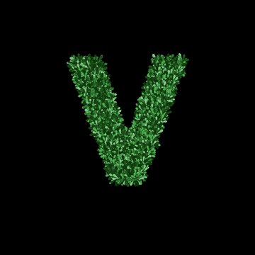 Letter V constructed of green plant leaves on black background