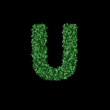 Letter U formed from dense green foliage isolated on black
