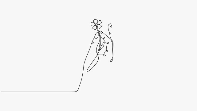 Continuous One Line Drawing Animation Of Human Hand Holding Small Flower White Background