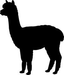 Fototapeta premium A detailed black silhouette of a standing alpaca isolated on a clean white background, representing a simple graphic icon or vector design element for creative projects, farm branding, and animal art