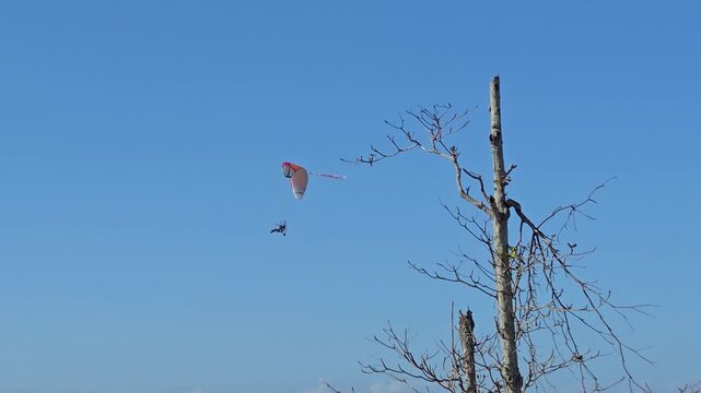 Powered paraglider flying over tropical beach ocean 4k
