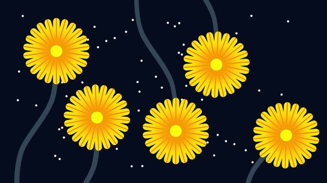 five bright orange dandelion flowers with wavy stems on a dark navy background for nighttime nature themed motion design