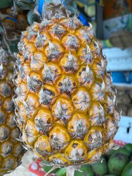 Close up view of a whole ripe pineapple with textured yellow skin hanging at a fresh produce market stall.