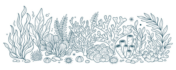 Underwater coral reef scene hand drawn line art aquatic sea elements. © abedin