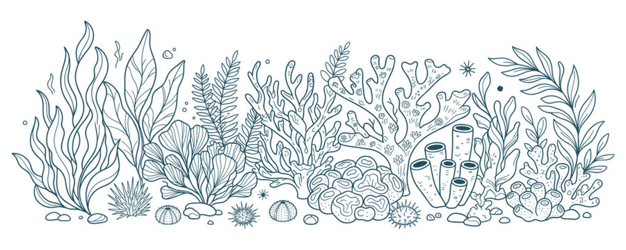 Underwater coral reef scene hand drawn line art aquatic sea elements.