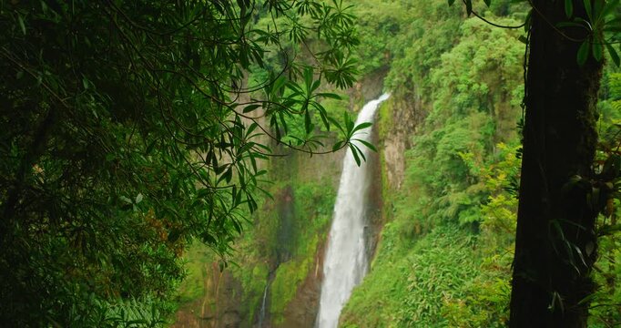 A lush forest viewpoint frames a tall Costa Rica waterfall cascading down a steep cliff