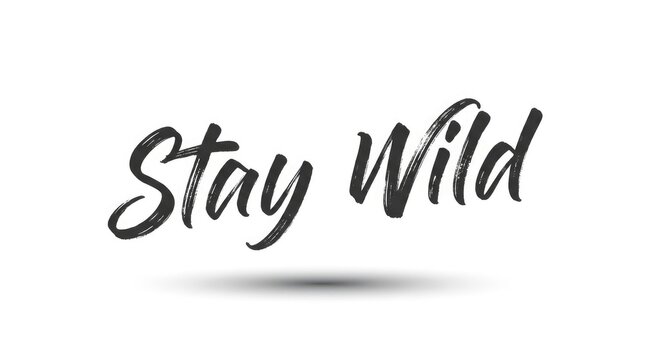Stay wild hand lettered calligraphy text featuring brush stroke style on clean isolated white background surface