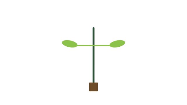 Seed to Plant Growth - Minimalist 2D Animation