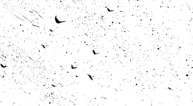 Grunge Ink Splatter Background. Black Speckled Ink Texture on White
