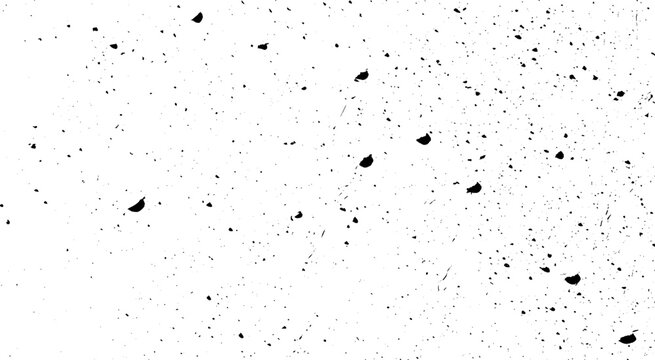 Black Speckled Ink Texture on White. Organic Ink Splatter Pattern. Vector EPS10