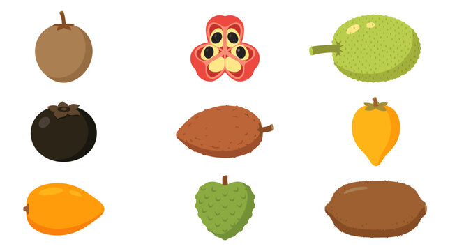 Rare and unique exotic fruit species flat icons.
