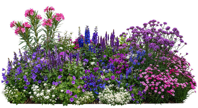 Colorful flower garden on a transparent background