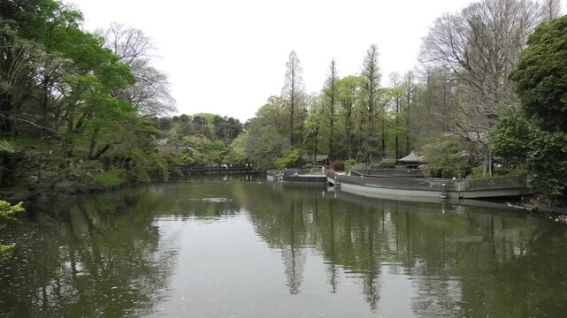 boat on the river