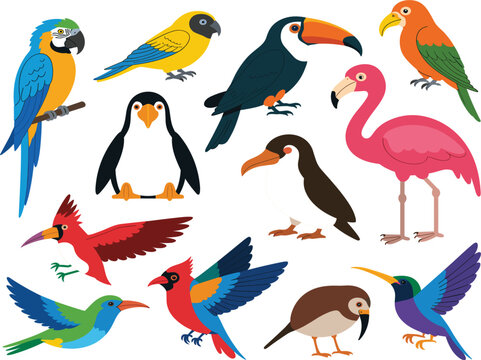 Tropical birds vector illustration set with exotic parrot, flamingo, toucan, penguin and colorful wild avian species