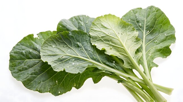 Fresh green collard greens, a healthy and nutritious vegetable