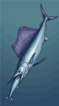 Lancetfish Cannibalism Swallowing Same Species Headfirst Vector Illustration