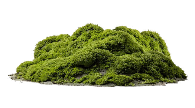 Natural Green Moss Patch Hill Isolated