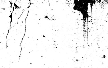 Fototapeta premium Black Paint Splatter Abstract Background. Distressed Ink Spots on White Surface