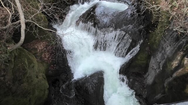 waterfall in the forest