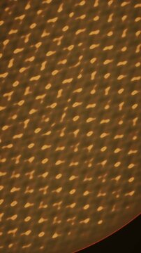 Faraday Wave Instability Subharmonic Square Lattice on Vibrating Liquid Metal Seamless Loop in soft gold tones vertical 9:16