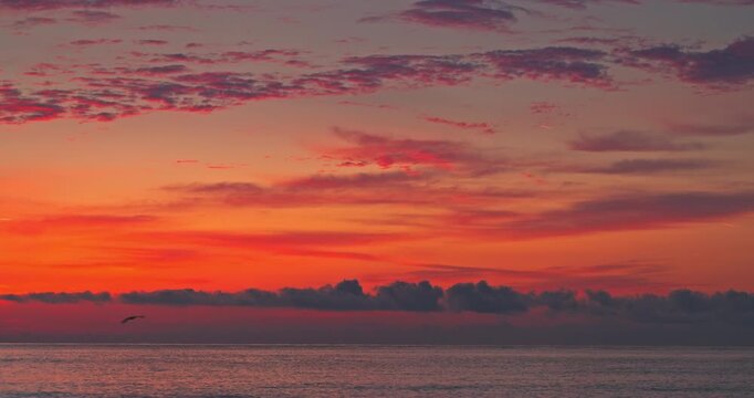 Orange Sunset Over Ocean Horizon and sea waves With dramatic Clouds And flying Bird Silhouette