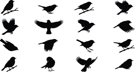 Fototapeta premium Vector silhouette collection of small birds flying and perching on branches
