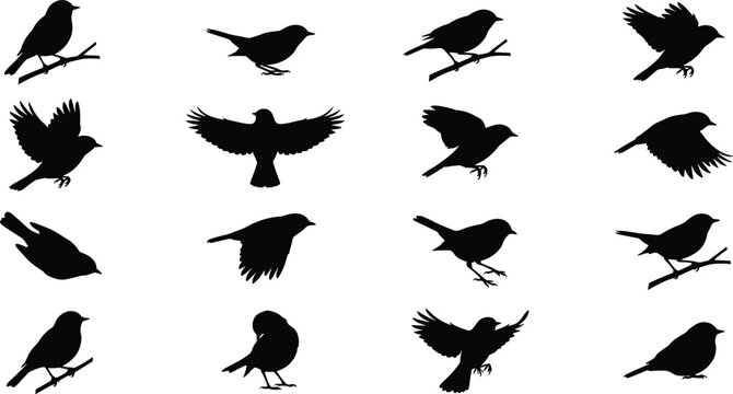 Vector silhouette collection of small birds flying and perching on branches