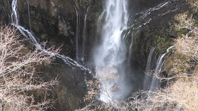 waterfall in the forest