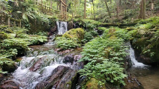 癒される自然の生音 名水百選に選ばれる福井県若狭町の瓜割の滝