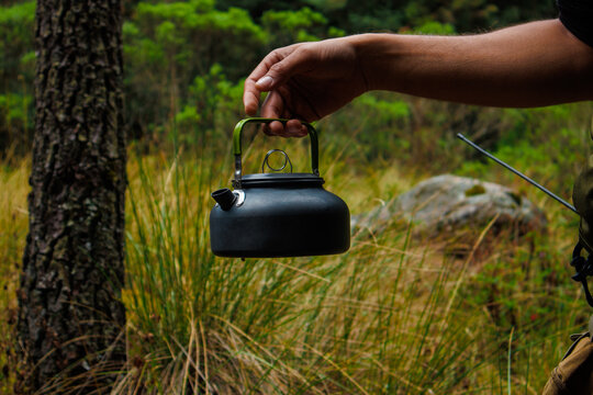 Tetera de campo en el bosque 