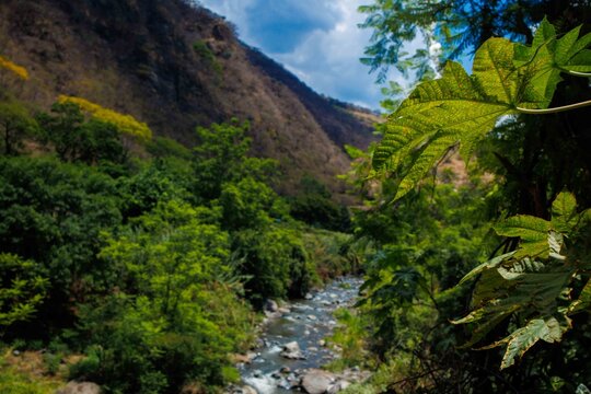 Rio en Michoac&aacute;n enfocando un rio 