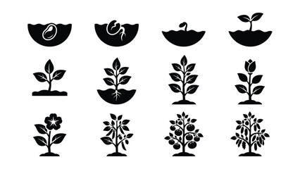 Obraz premium Plant Growth Stages Illustrated with Seed to Mature Tree Icons