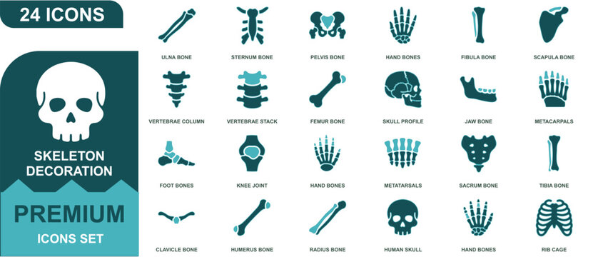 Set of 24 skeleton decoration icons featuring human anatomy and bone structures in teal